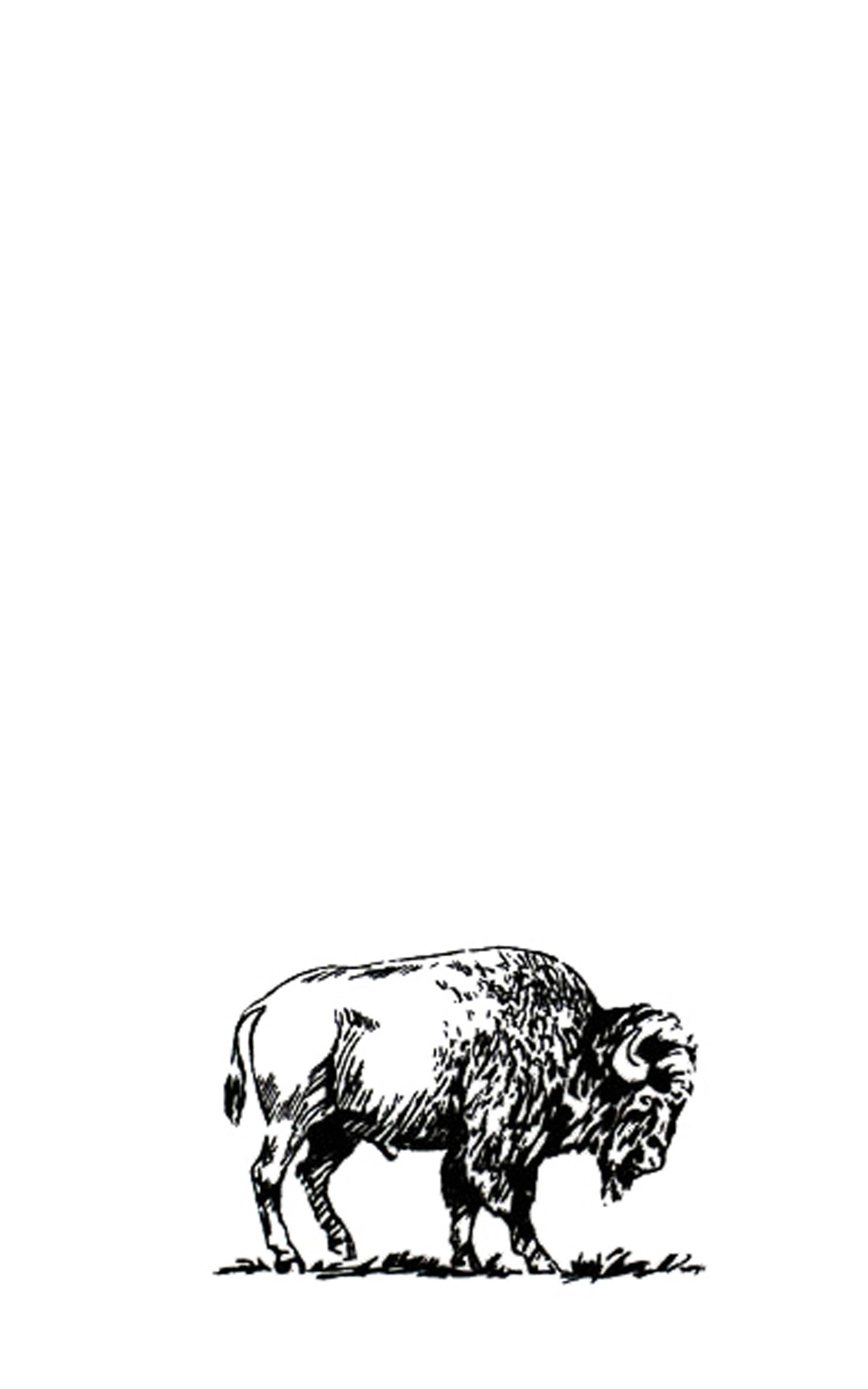Bison Tea Towel LU