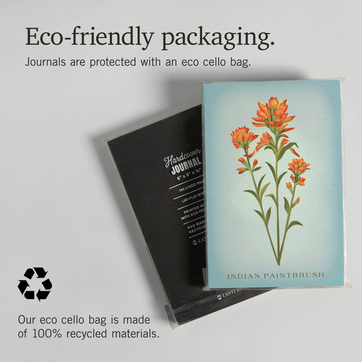 Indian Paintbrush Premium Journal LU