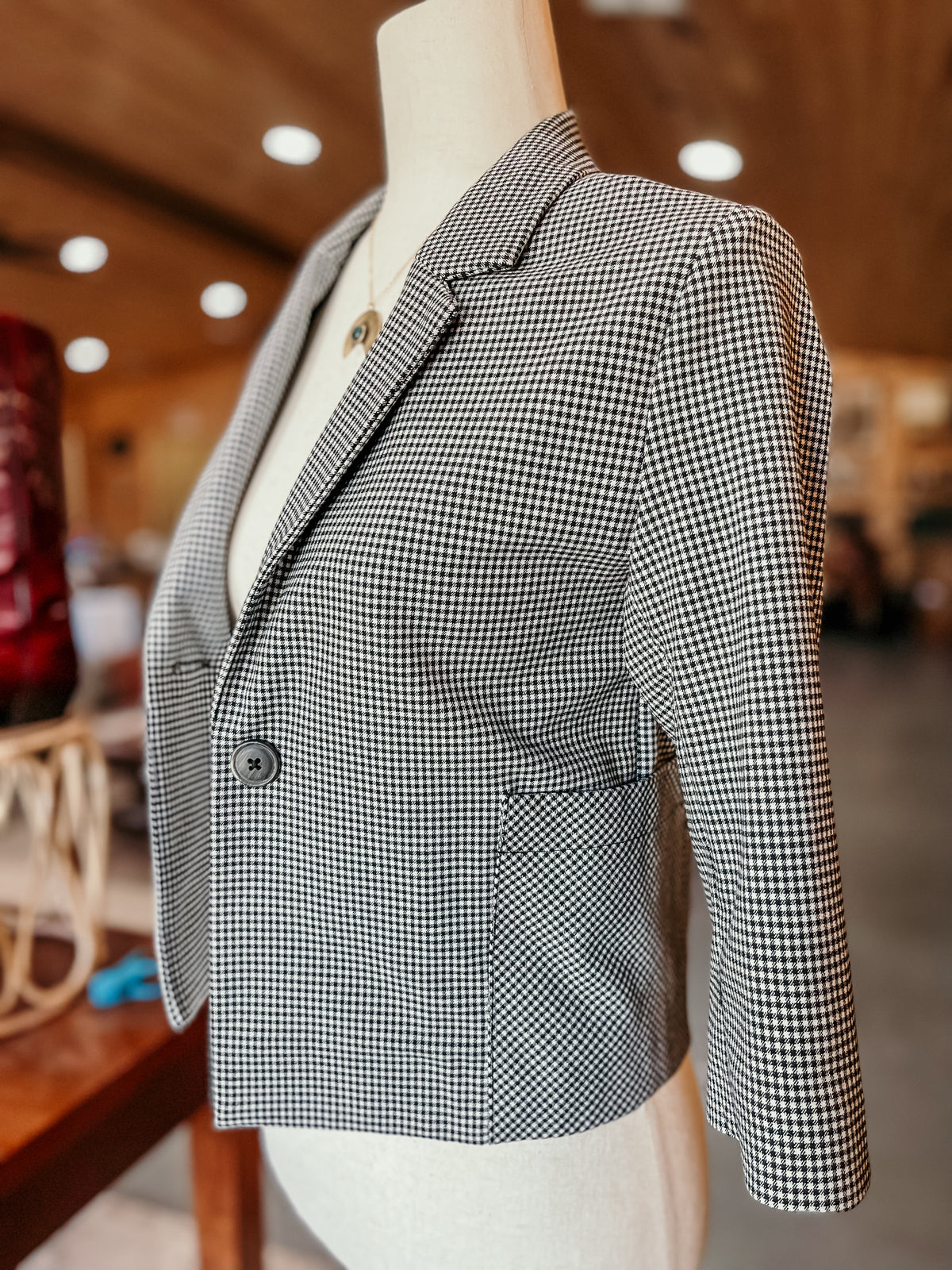 Zara Gingham Jacket HP