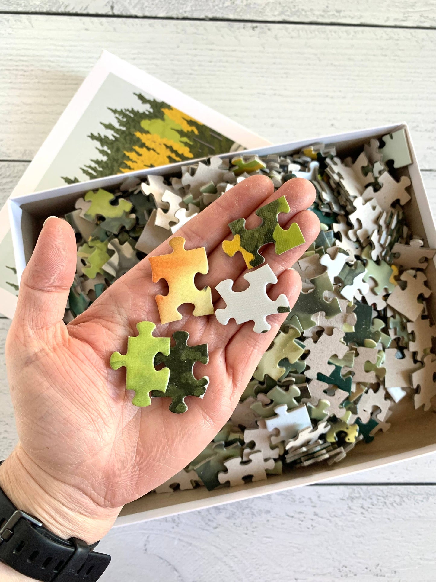 River Trout - 500 piece puzzle LU