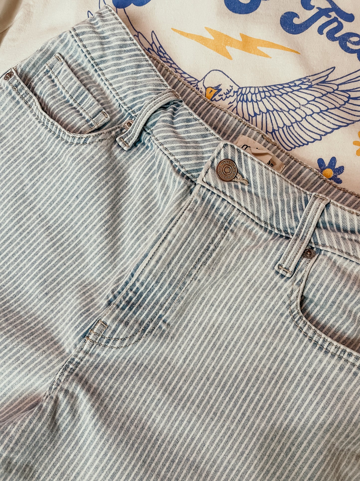 Striped Denim Shorts HP