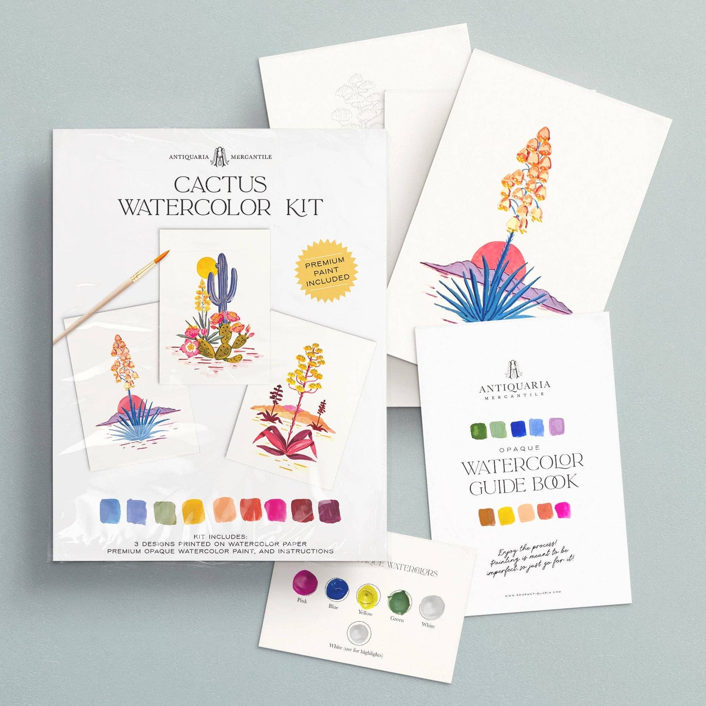 Watercolor Painting Kit: Cactus