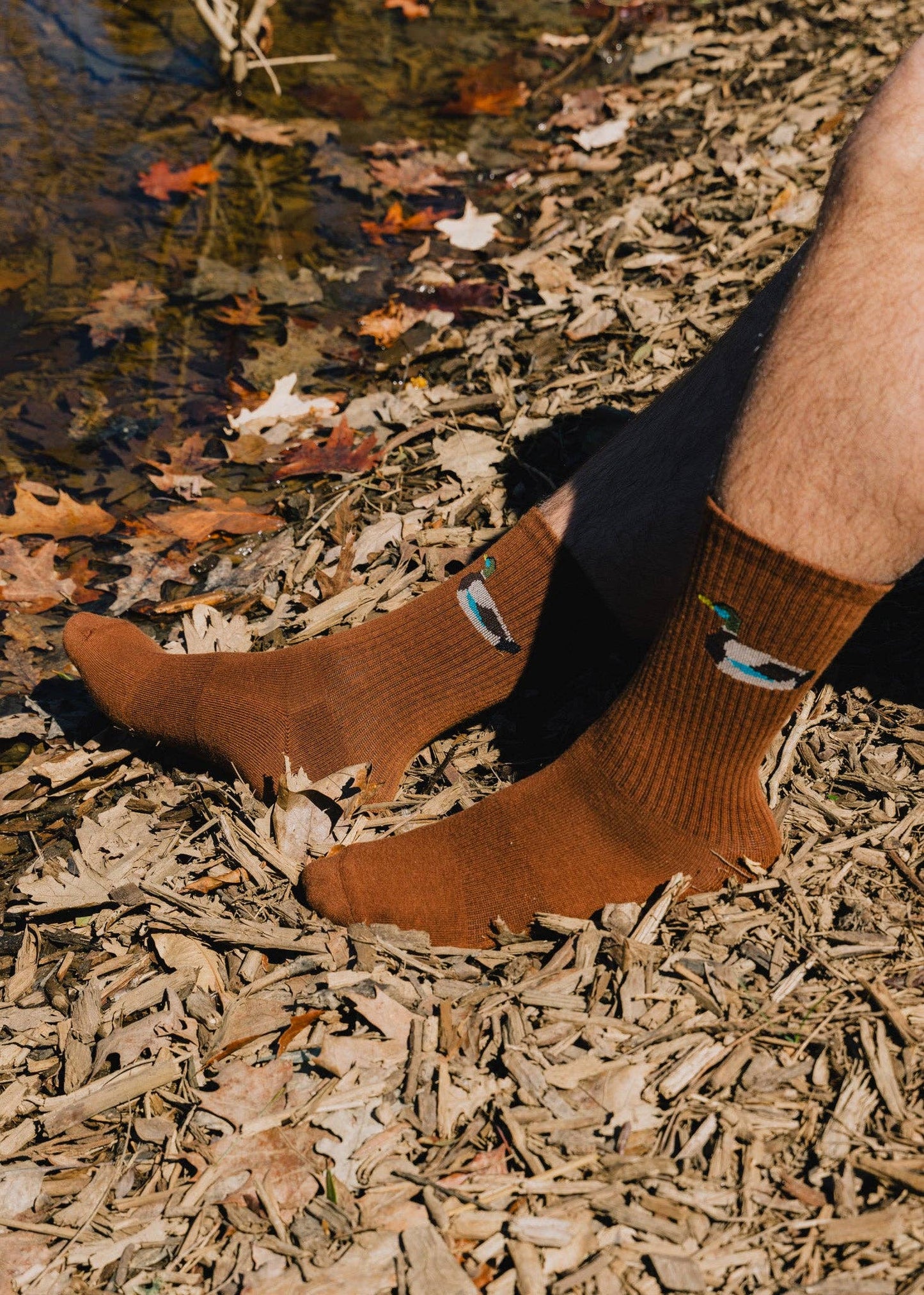 The Zoo Crew: Brown duck socks LU
