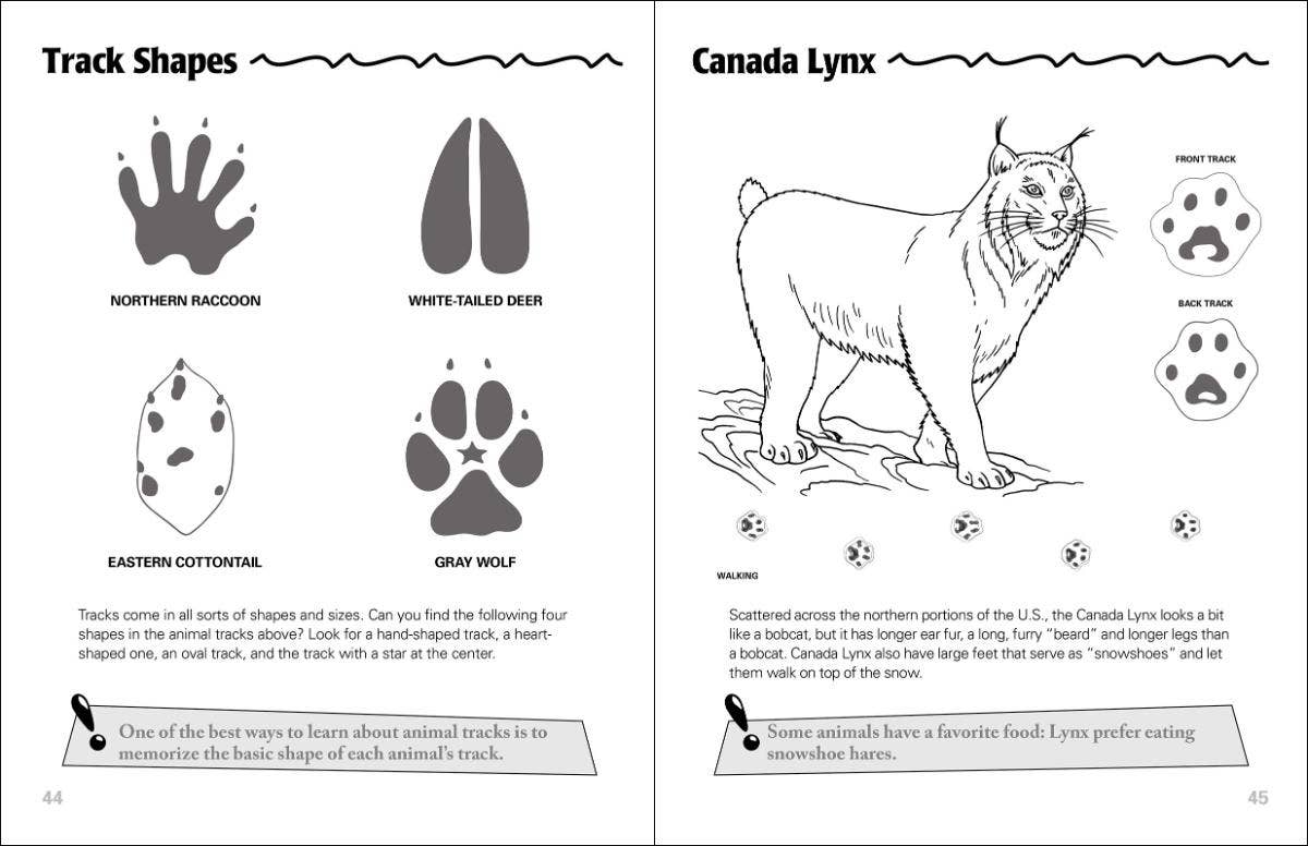 Animal Tracks Activity Book LU