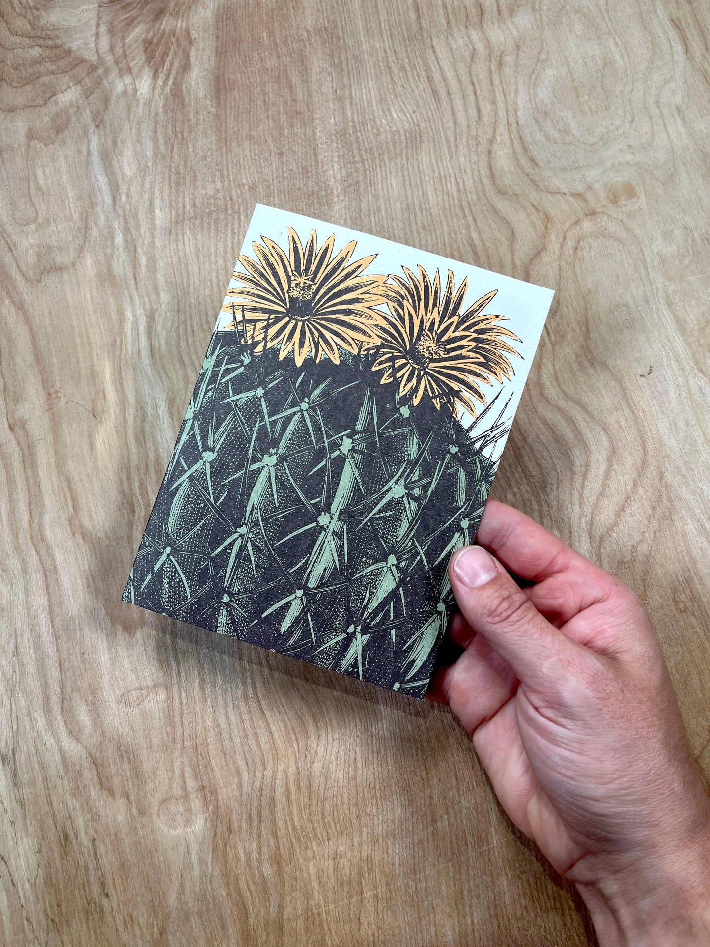 Barrel Cactus Greeting Cards-8 Cards LU