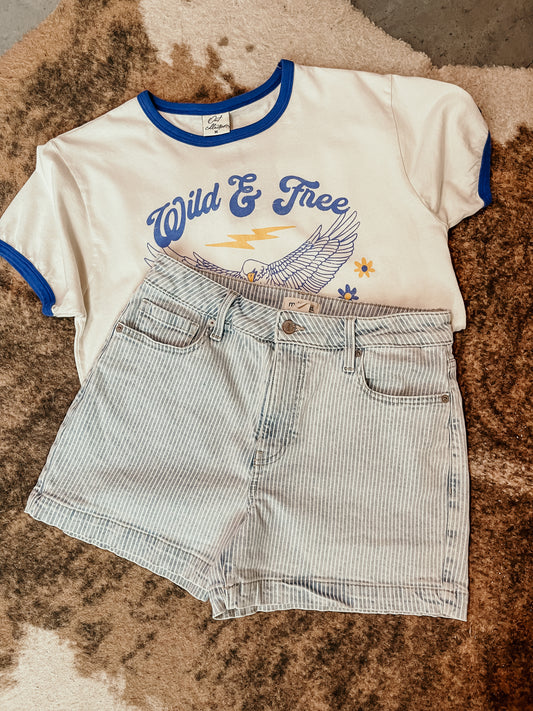 Striped Denim Shorts HP