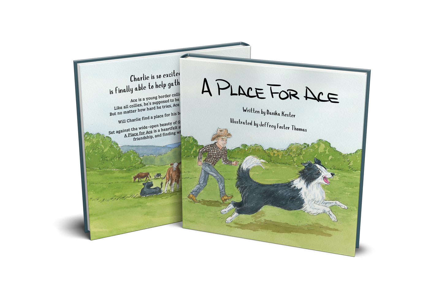 Hardcover: A Place for Ace