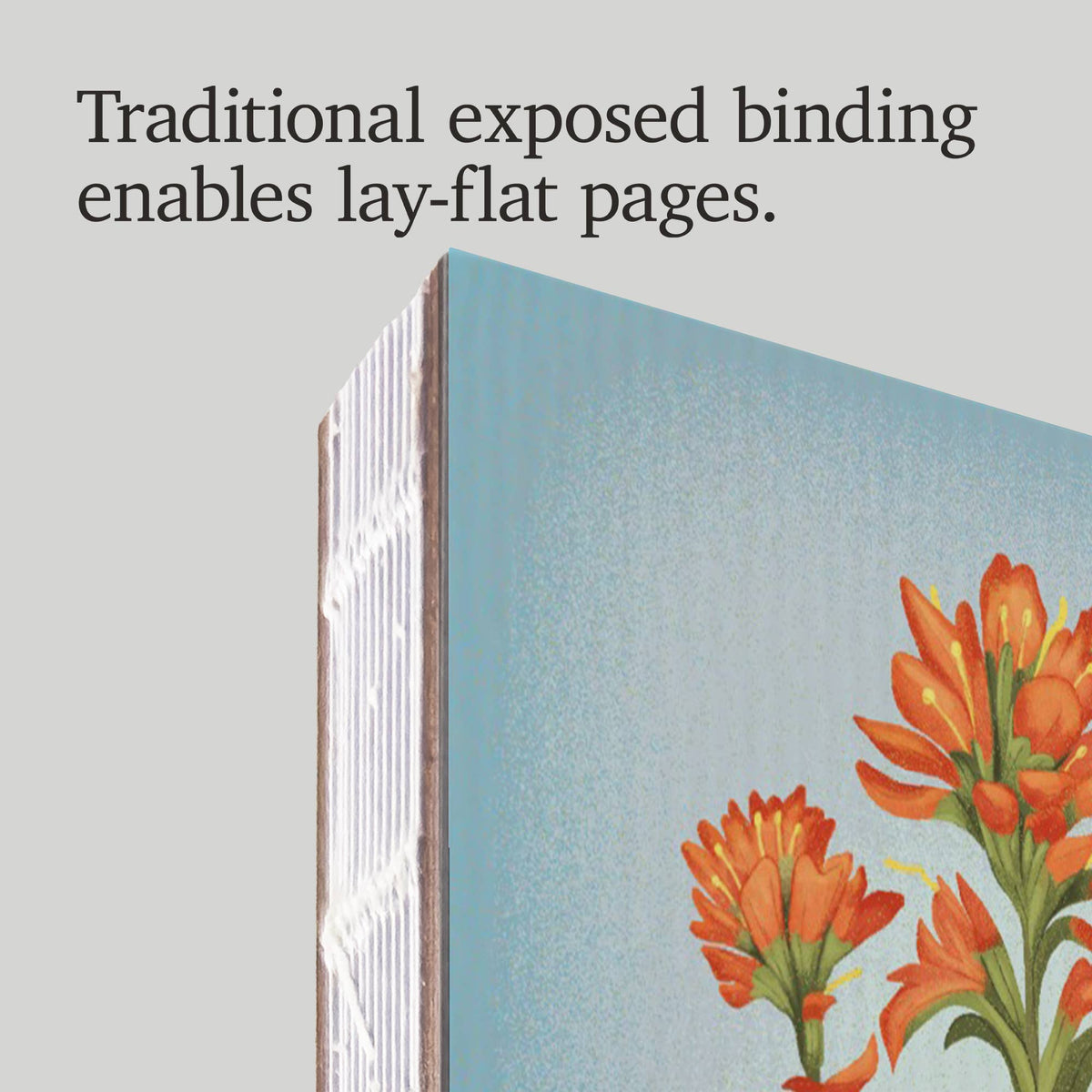 Indian Paintbrush Premium Journal LU