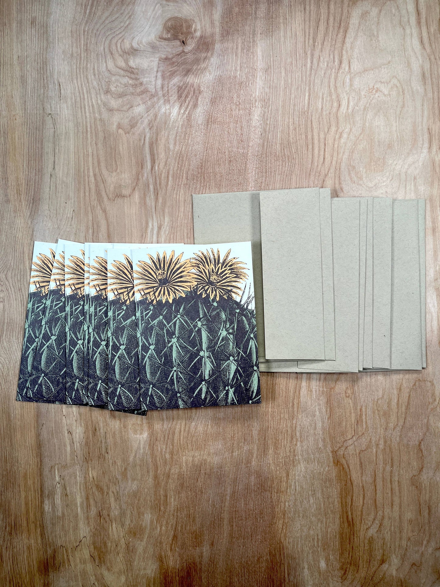 Barrel Cactus Greeting Cards-8 Cards LU