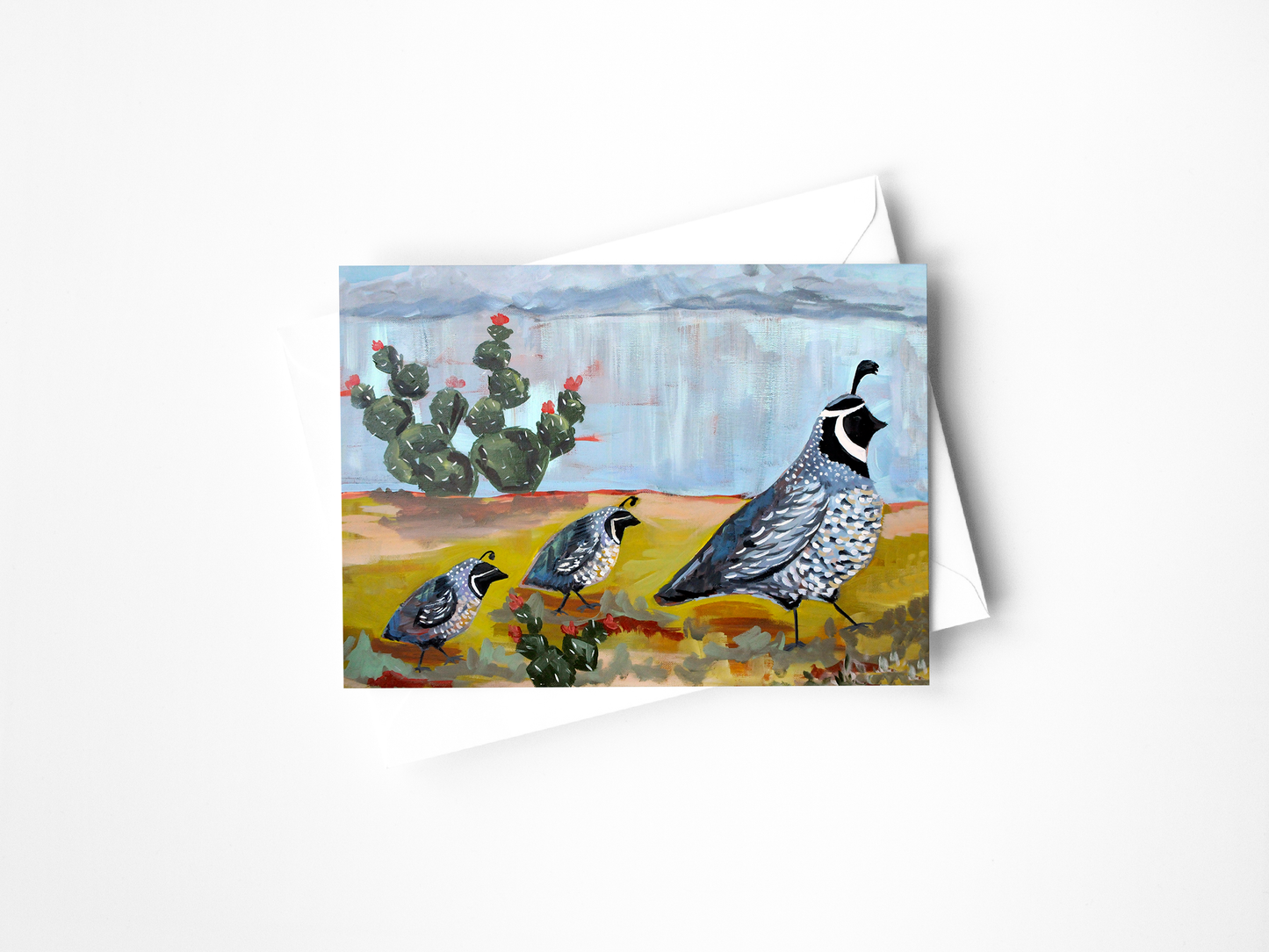 Desert Collection Assorted Greeting Cards