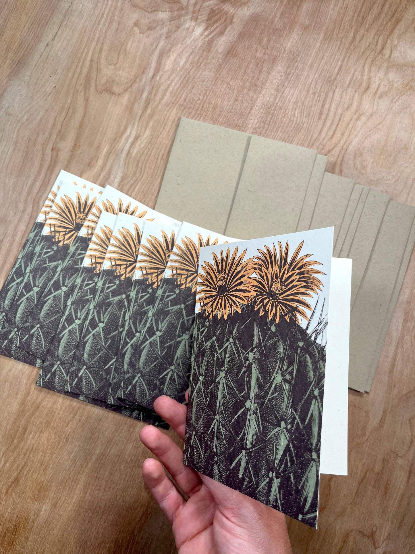 Barrel Cactus Greeting Cards-8 Cards LU