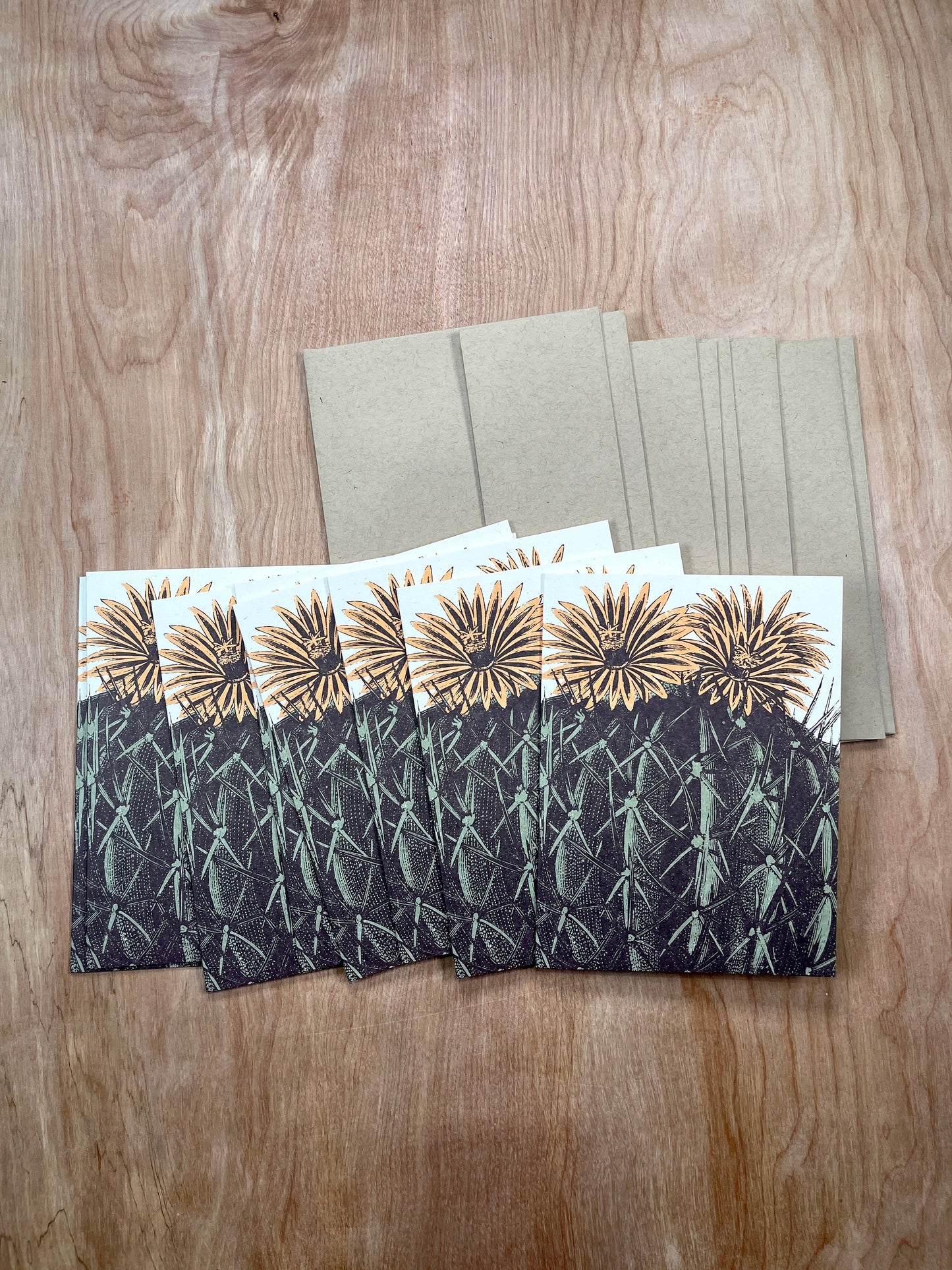 Barrel Cactus Greeting Cards-8 Cards LU