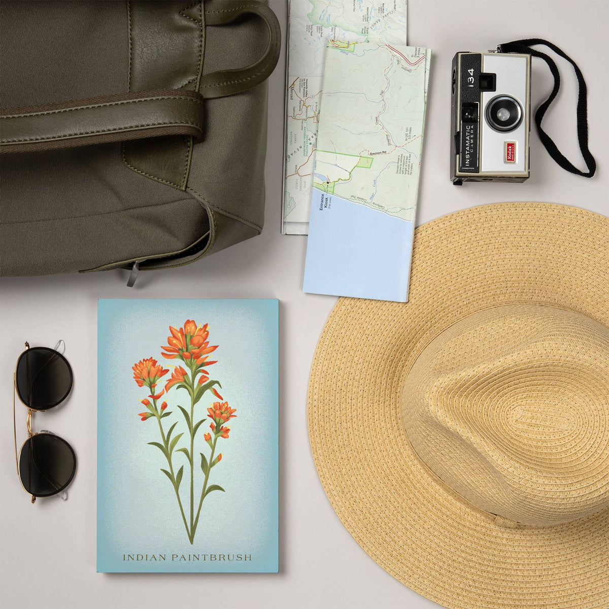 Indian Paintbrush Premium Journal LU