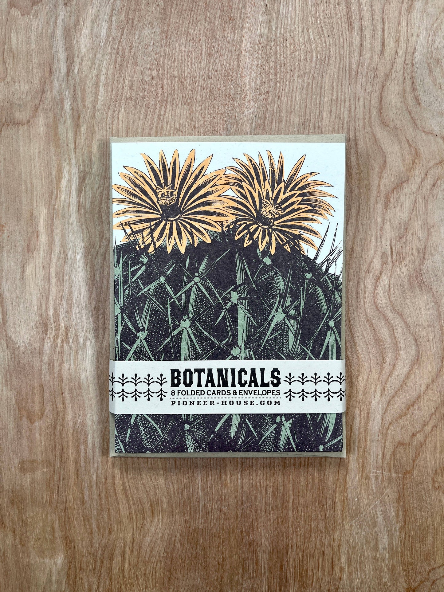 Barrel Cactus Greeting Cards-8 Cards LU