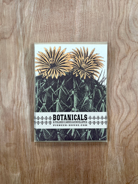 Barrel Cactus Greeting Cards-8 Cards LU