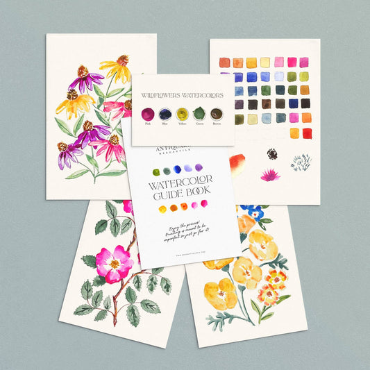 Watercolor Painting Kit : Wildflowers No1