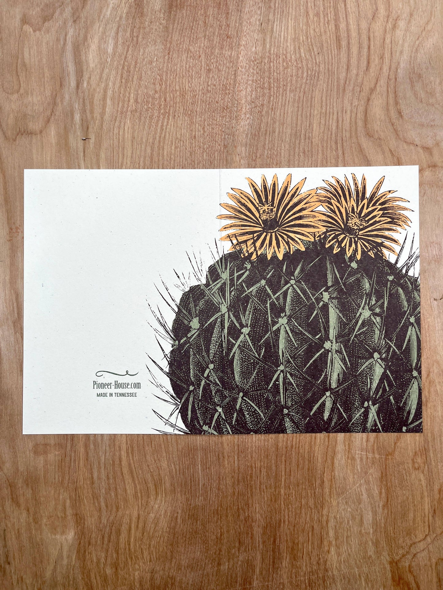 Barrel Cactus Greeting Cards-8 Cards LU