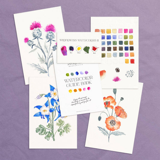 Watercolor Painting Kit : Wildflowers No2