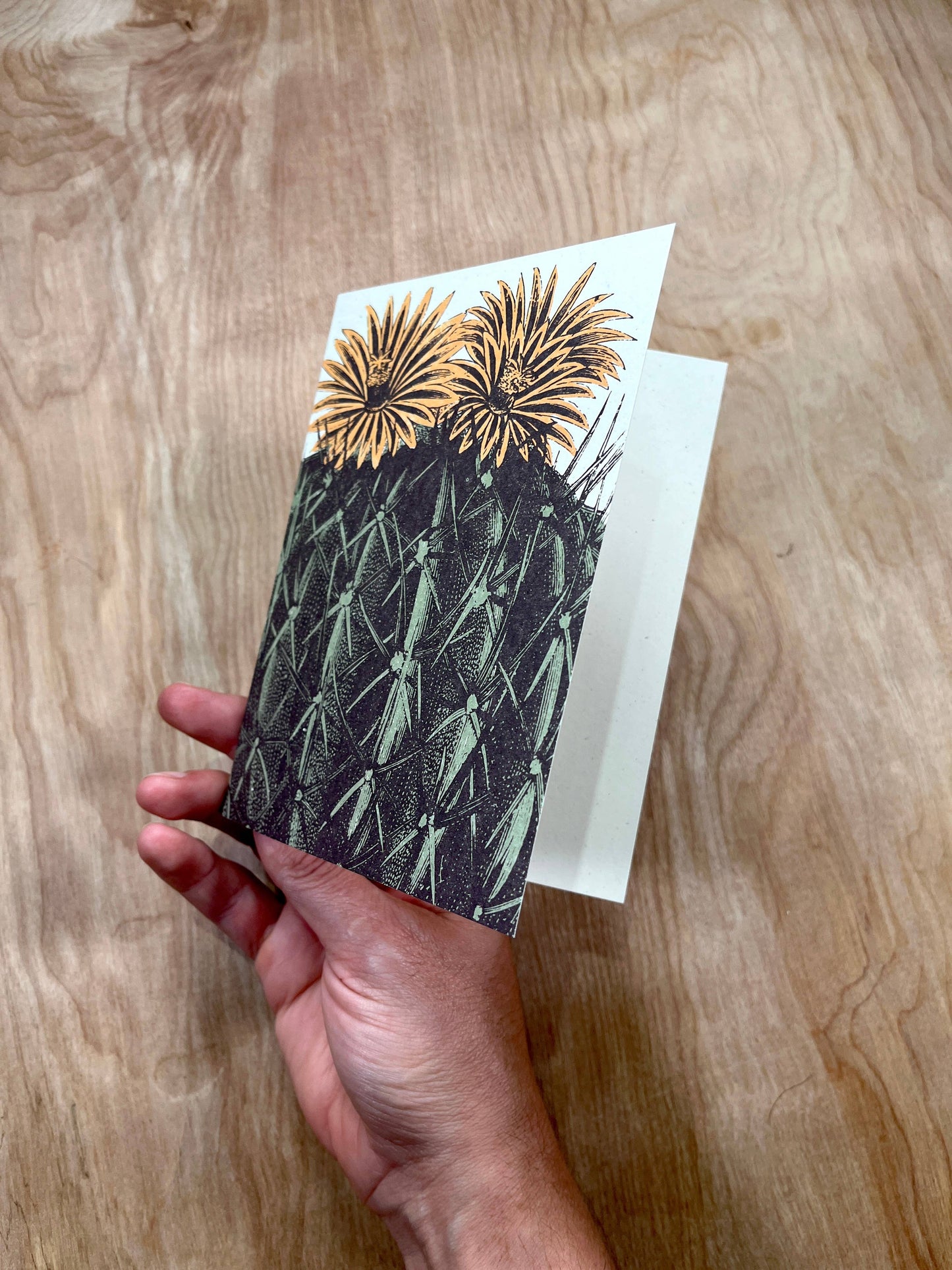 Barrel Cactus Greeting Cards-8 Cards LU