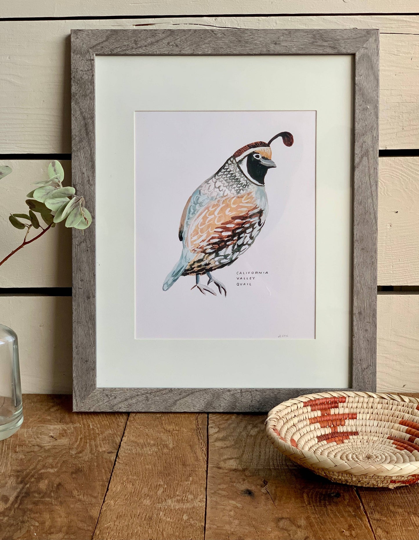 California Valley Quail Bird Art Print Home Wall Decor