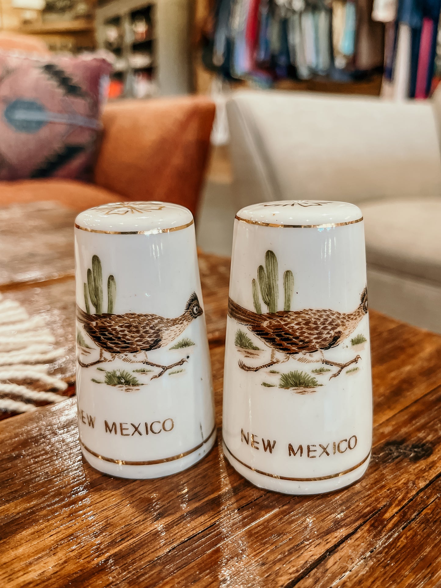 Road Runner Salt and Pepper Shakers HP