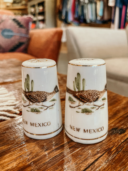 Road Runner Salt and Pepper Shakers HP
