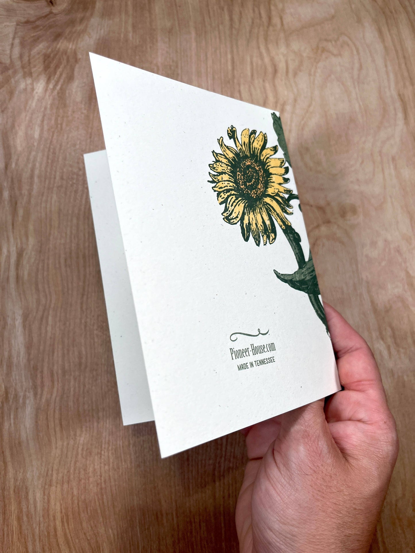 Sunflowers Greeting Cards