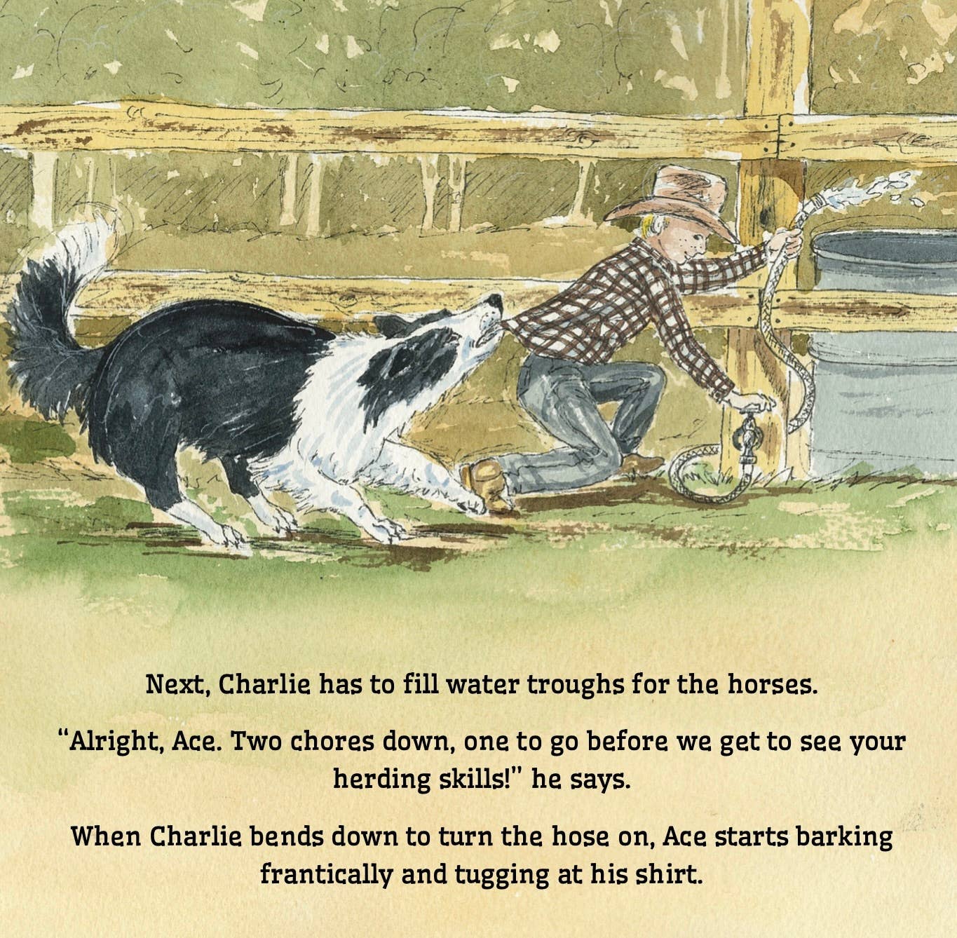 Hardcover: A Place for Ace