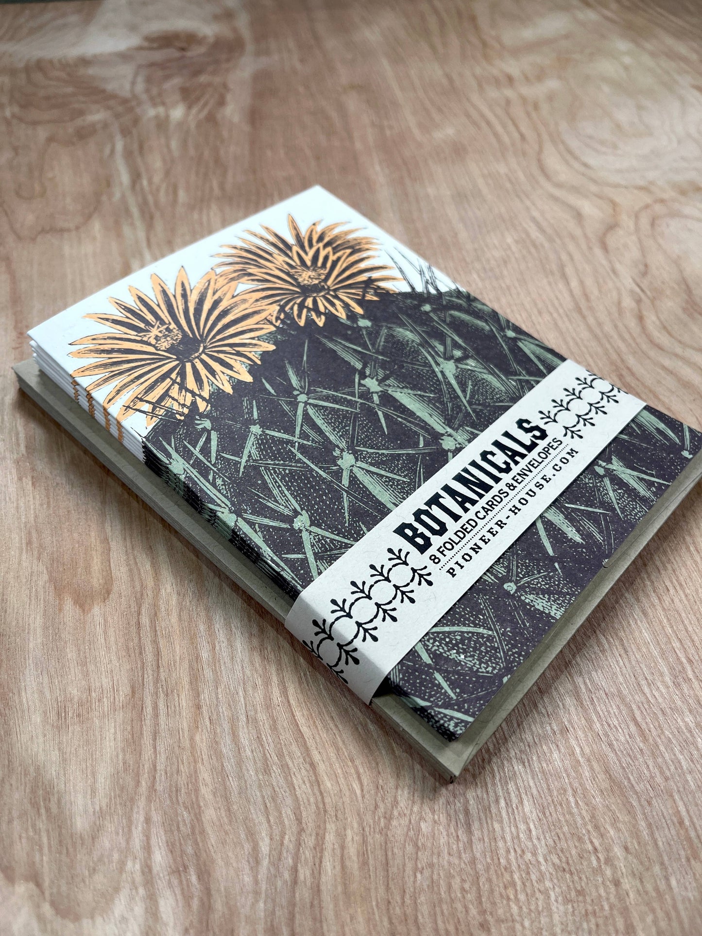 Barrel Cactus Greeting Cards-8 Cards LU