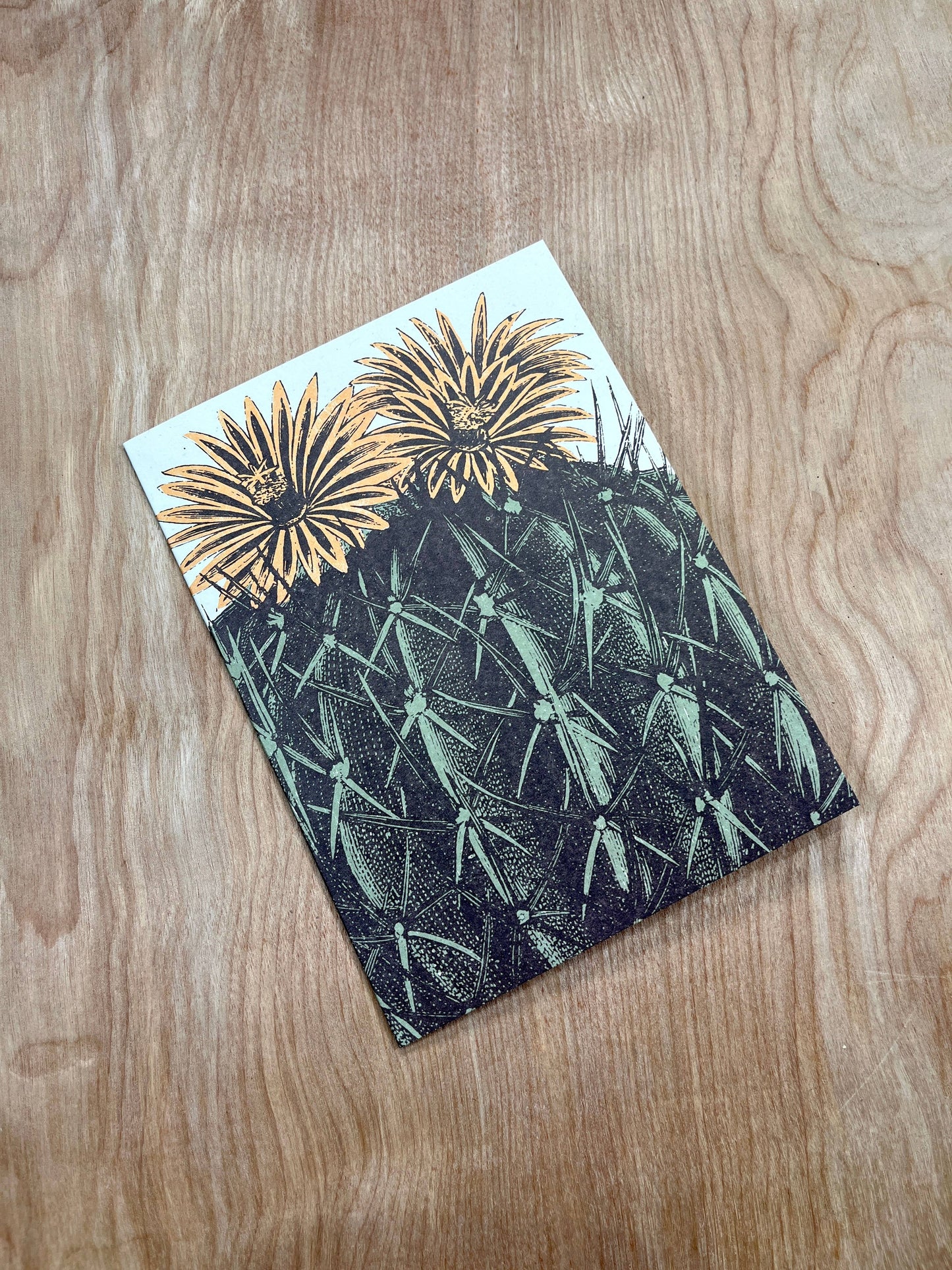 Barrel Cactus Greeting Cards-8 Cards LU