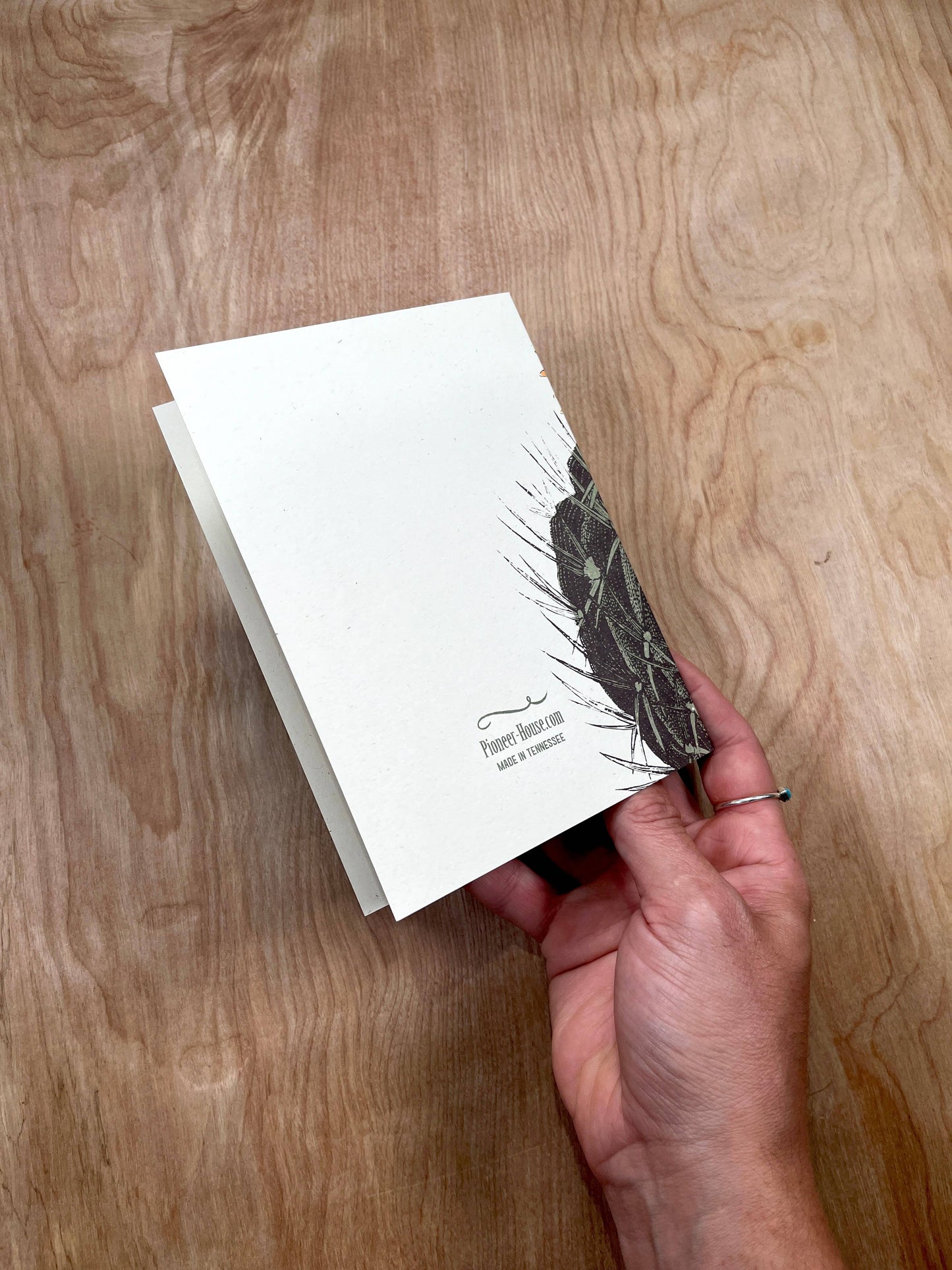 Barrel Cactus Greeting Cards-8 Cards LU