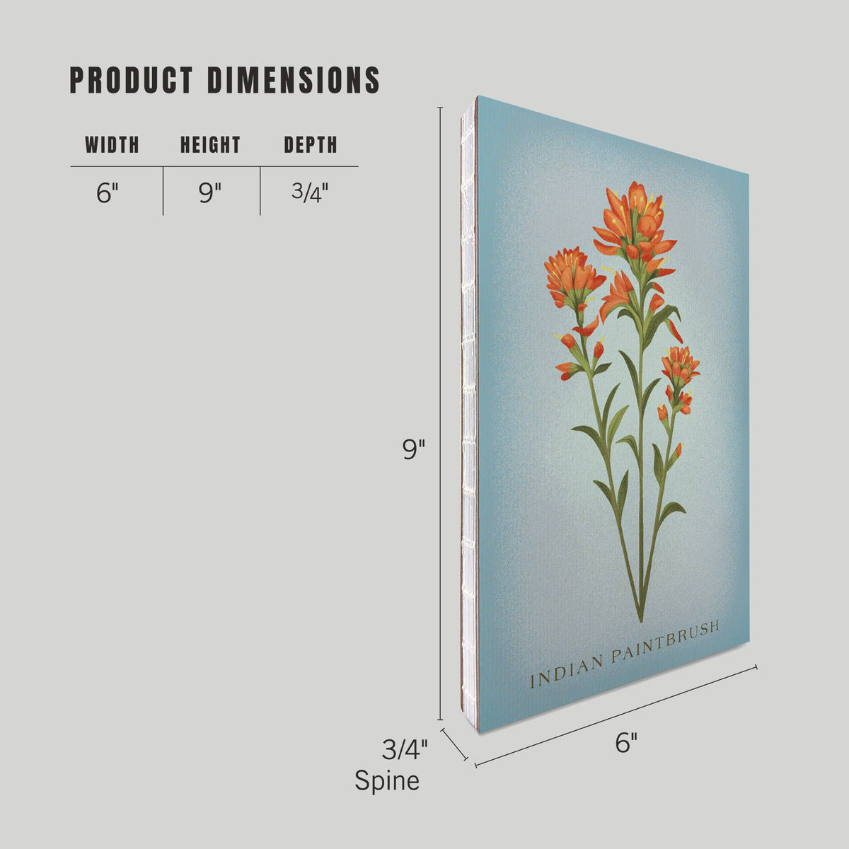 Indian Paintbrush Premium Journal LU