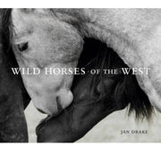 Wild Horses of the West
