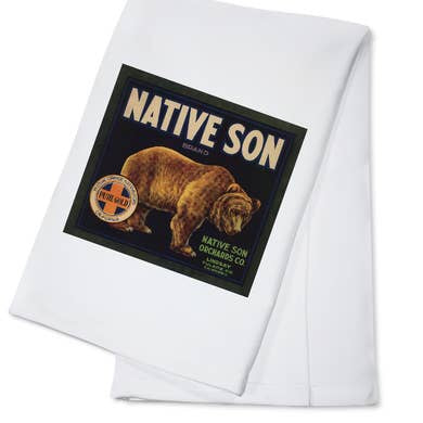Native Son Towel